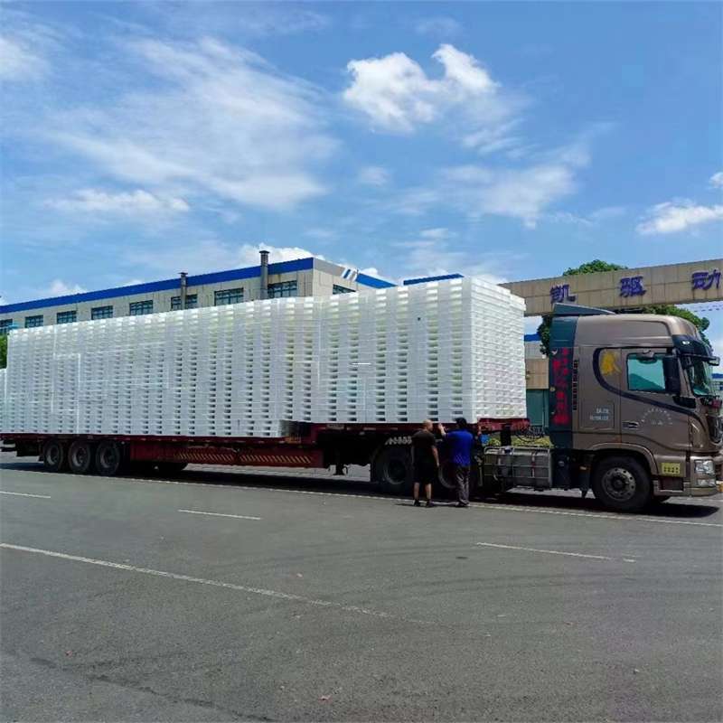 南关区黄埔区物流：多元服务与高效运输线路探秘