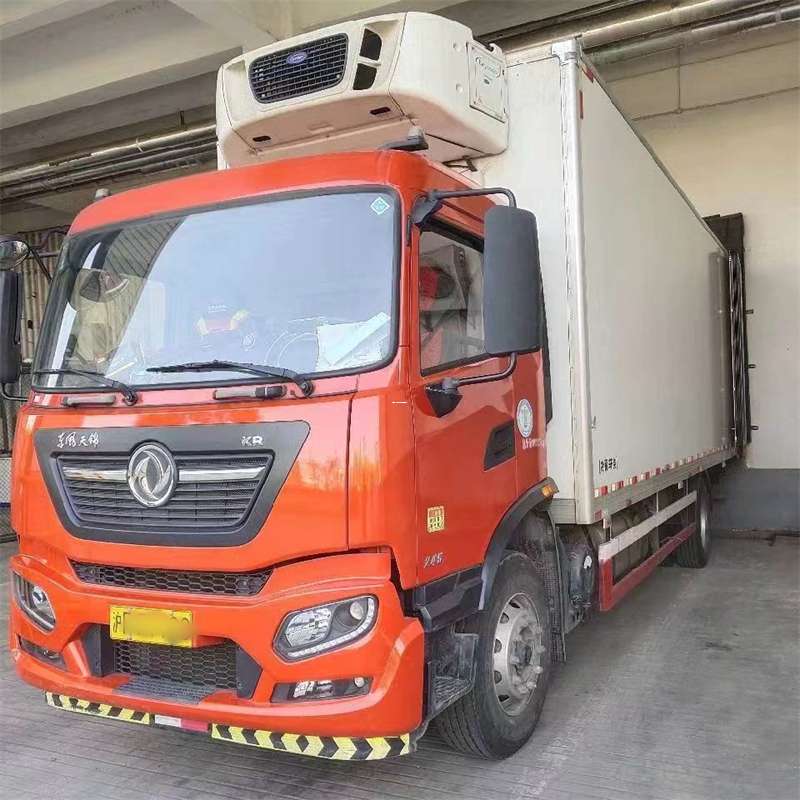 南关区萨迦县：物流专线的高效货运之旅